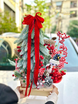 Chậu Thông Trang Trí Noel Đẹp – Sang Trọng Cho Mọi Không Gian Tại TP Vinh 40 Chậu Thông Trang Trí Noel Đẹp – Sang Trọng Cho Mọi Không Gian Tại TP Vinh 39