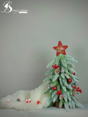 Chậu Thông Trang Trí Noel Đẹp – Sang Trọng Cho Mọi Không Gian Tại TP Vinh 20 Chậu Thông Trang Trí Noel Đẹp – Sang Trọng Cho Mọi Không Gian Tại TP Vinh 19