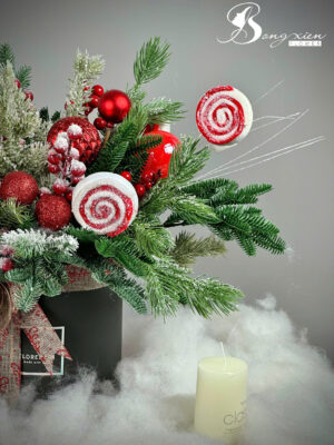 Chậu Thông Trang Trí Noel Đẹp – Sang Trọng Cho Mọi Không Gian Tại TP Vinh 10 Chậu Thông Trang Trí Noel Đẹp – Sang Trọng Cho Mọi Không Gian Tại TP Vinh 9