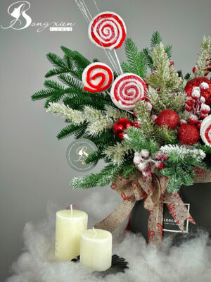 Chậu Thông Trang Trí Noel Đẹp – Sang Trọng Cho Mọi Không Gian Tại TP Vinh 12 Chậu Thông Trang Trí Noel Đẹp – Sang Trọng Cho Mọi Không Gian Tại TP Vinh 11