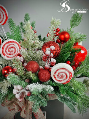 Chậu Thông Trang Trí Noel Đẹp – Sang Trọng Cho Mọi Không Gian Tại TP Vinh 14 Chậu Thông Trang Trí Noel Đẹp – Sang Trọng Cho Mọi Không Gian Tại TP Vinh 13