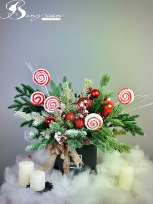 Chậu Thông Trang Trí Noel Đẹp – Sang Trọng Cho Mọi Không Gian Tại TP Vinh 16 Chậu Thông Trang Trí Noel Đẹp – Sang Trọng Cho Mọi Không Gian Tại TP Vinh 15