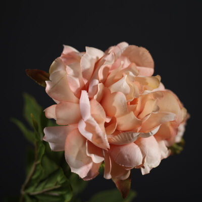 Bông Xiên Decor – Shop Hoa Lụa Đẹp Nhất TP Vinh, Giá Tốt 2026 18 Bông Xiên Decor – Shop Hoa Lụa Đẹp Nhất TP Vinh, Giá Tốt 2026 17