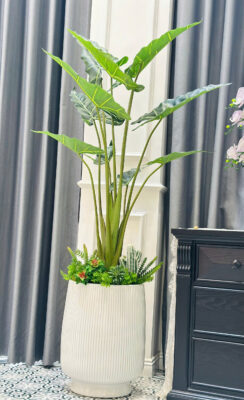 BÔNG XIÊN DECOR - ĐỊA CHỈ MUA CHẬU CÂY GIẢ ĐẸP TẠI TP VINH 4 BÔNG XIÊN DECOR - ĐỊA CHỈ MUA CHẬU CÂY GIẢ ĐẸP TẠI TP VINH 3