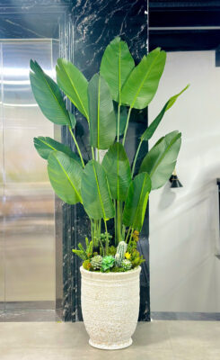 BÔNG XIÊN DECOR - ĐỊA CHỈ MUA CHẬU CÂY GIẢ ĐẸP TẠI TP VINH 2 BÔNG XIÊN DECOR - ĐỊA CHỈ MUA CHẬU CÂY GIẢ ĐẸP TẠI TP VINH 1